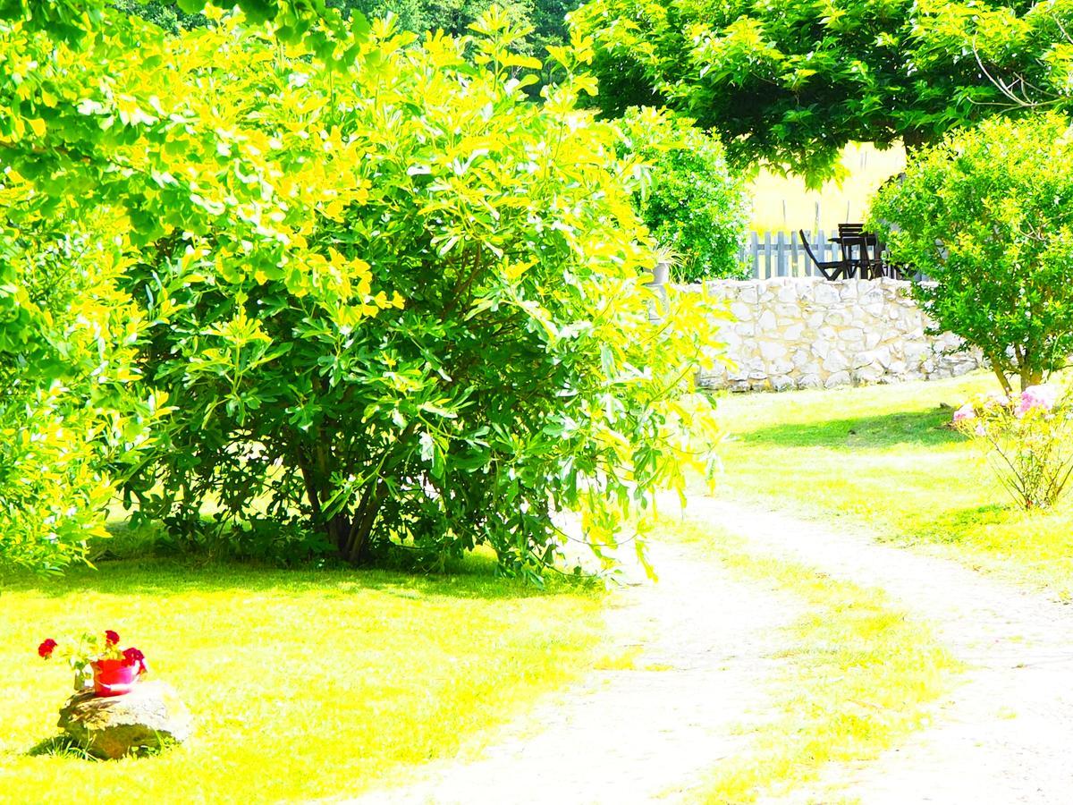 La Belle Verte Grignols  Luaran gambar