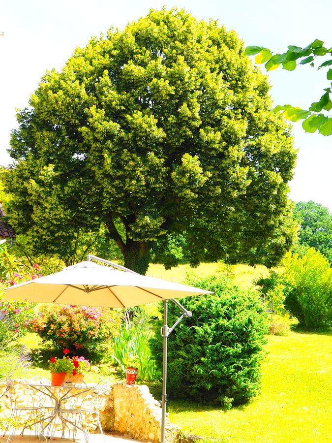 La Belle Verte Grignols  Luaran gambar