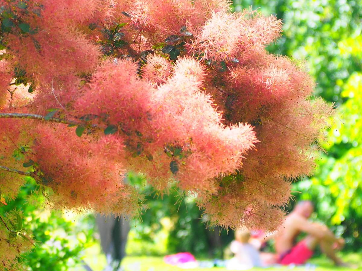 La Belle Verte Grignols  Luaran gambar